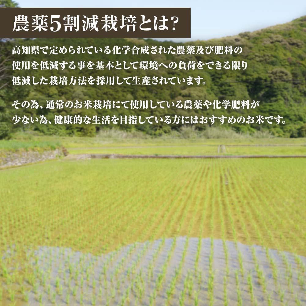 【ふるさと納税】【令和8年産】 新米　玄米 コシヒカリ 5kg 5キロ 農薬5割減栽培 お米 おこめ 米 こめ ごはん 飯 こしひかり ブランド米 おいしい 国産 土佐清水産 送料無料 高知県 土佐清水市 故郷納税 返礼品 高知 14000円【R01598】 - 画像2
