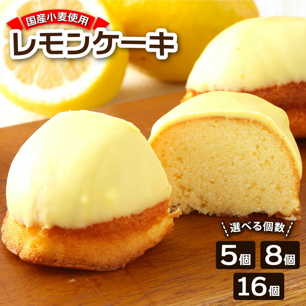 レモンケーキ お取り寄せ ギフト レモンピール入り 個包装 選べる個数 5個 8個 16個 スイーツ レモンチョココーティング お菓子 おかし デザート ケーキ おやつ 焼き菓子 洋菓子 美味しい 差し入れ 手土産 5000円 5000円以内 5000円ちょうど【R00048】