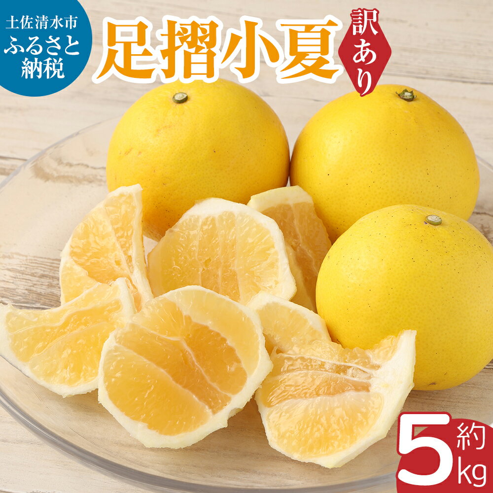令和8年発送 2026年発送 小夏 訳あり 5kg こなつ 日向夏 ニューサマーオレンジ 国産 みかん 柑橘 柑橘類 フルーツ 果物 旬 季節 甘い さっぱり ワケあり 傷 訳 家庭用 自宅用 特産 5キロ 美味しい 返礼品 高知県 土佐清水市 予約 9000円【R00158】