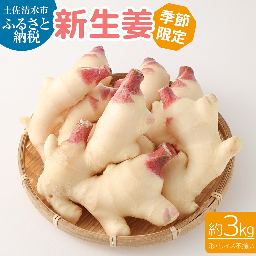 先行受付 新生姜 3kg 季節限定 農家直送 3キロ 甘酢漬け ガリ 佃煮 ジンジャーエール しょうが ショウガ 佃煮 甘酢漬け 食品 新鮮 野菜 旬 産地直送 温まる 温活 冷え対策 国産 故郷納税 高知県 土佐清水市 送料無料 高知【R01549】