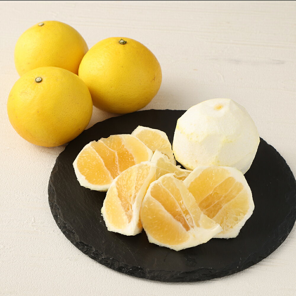 【ふるさと納税】【令和8年発送】小夏 早川農園の足摺小夏（5kg）日向夏 みかん ニューサマーオレンジ 柑橘 フルーツ こなつ 果物 特産 5キロ S～Lサイズ混合 美味しい ふるさとのうぜい 故郷納税 返礼品 高知 土佐清水市 【R00397】 サムネイル2