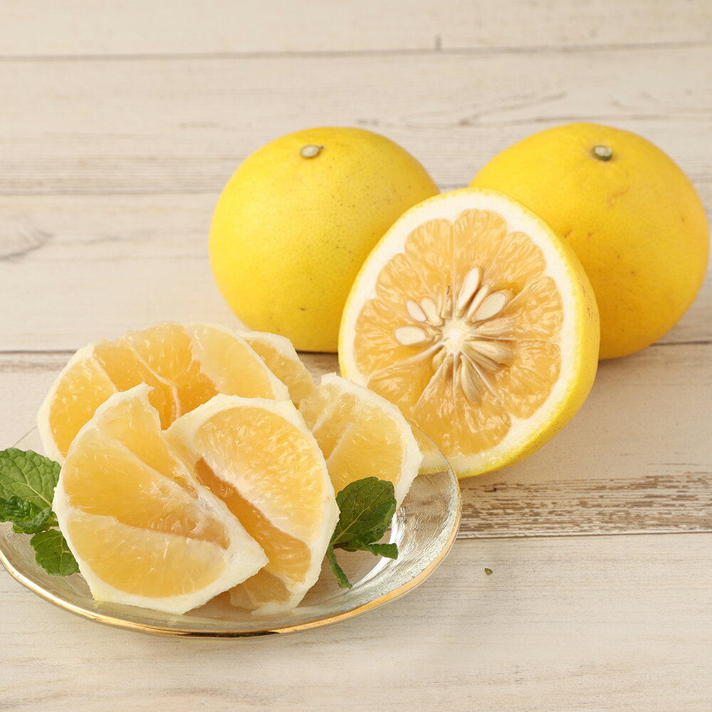 【ふるさと納税】【令和8年発送】小夏 早川農園の足摺小夏（5kg）日向夏 みかん ニューサマーオレンジ 柑橘 フルーツ こなつ 果物 特産 5キロ S～Lサイズ混合 美味しい ふるさとのうぜい 故郷納税 返礼品 高知 土佐清水市 【R00397】 サムネイル3