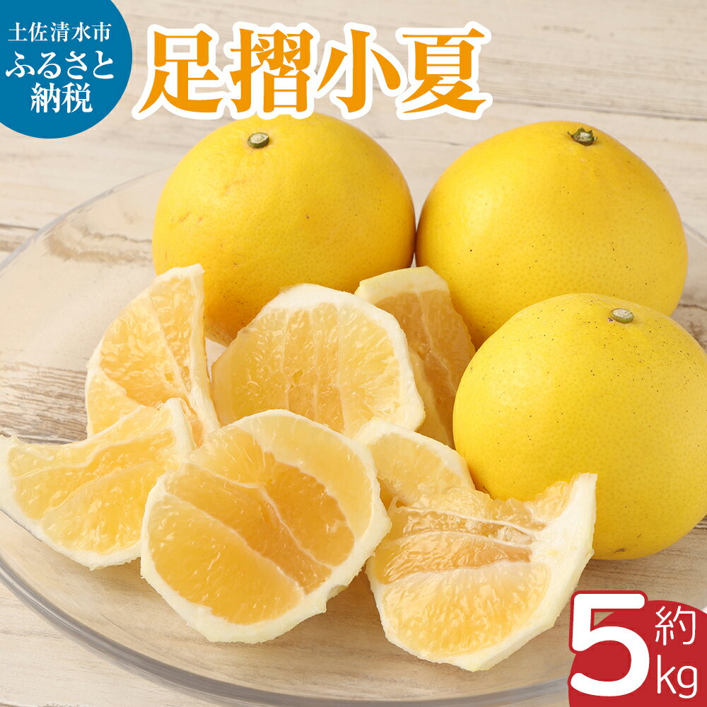 【令和8年発送】小夏 早川農園の足摺小夏（5kg）日向夏 みかん ニューサマーオレンジ 柑橘 フルーツ こなつ 果物 特産 5キロ S～Lサイズ混合 美味しい ふるさとのうぜい 故郷納税 返礼品 高知 土佐清水市 【R00397】