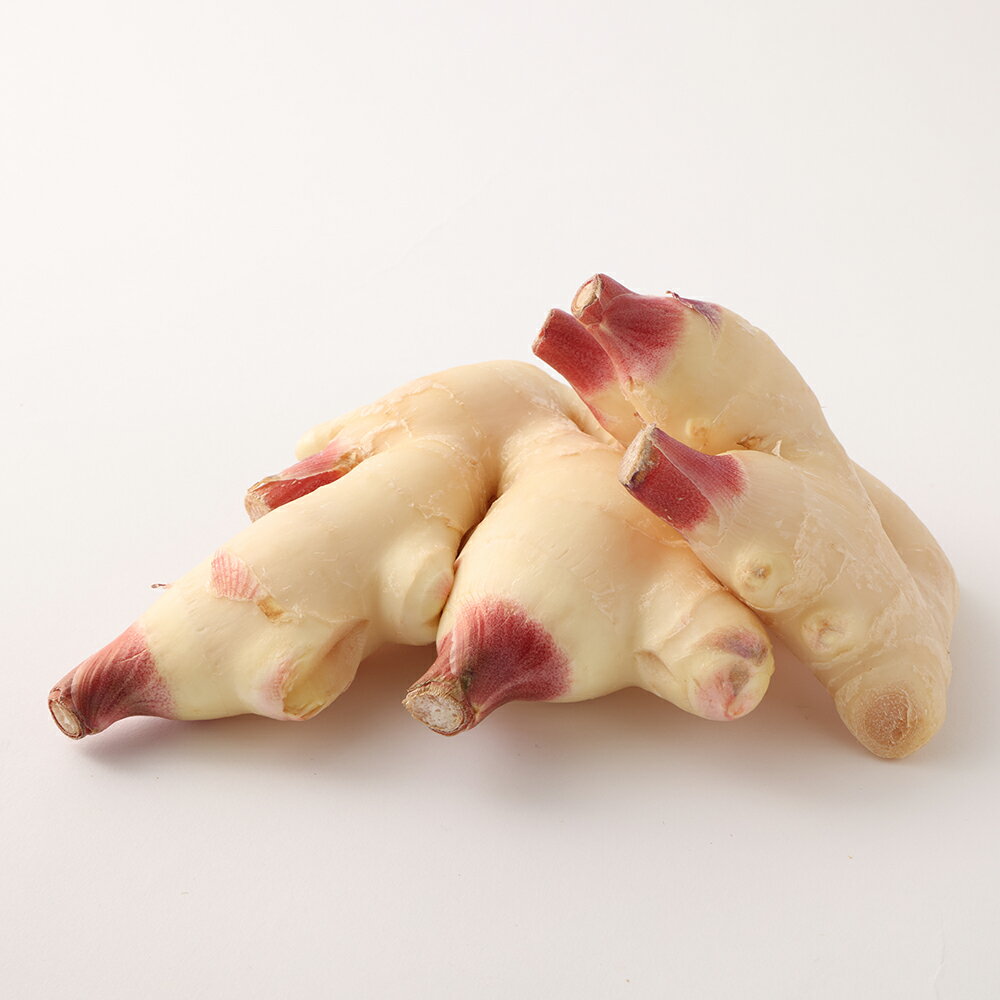 【ふるさと納税】 先行受付 新生姜 4kg 季節限定 農家直送 4キロ 甘酢漬け ガリ 佃煮 ジンジャーエール しょうが ショウガ 佃煮 甘酢漬け 食品 野菜 旬 産地直送 新鮮 温まる 温活 冷え対策 国産 故郷納税 高知県 土佐清水市 送料無料 高知【R01550】 - 画像2