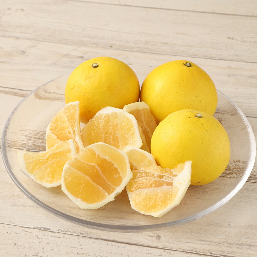 【ふるさと納税】R8年4月発送＜訳あり＞ 小夏 谷川果樹園の小夏5kg 日向夏 みかん 柑橘 フルーツ こなつ ニューサマーオレンジ 果物 美味しい ワケあり 訳 自宅用 ご家庭用 おやつ ふるさとのうぜい 故郷納税 返礼品 高知 土佐清水市 12000円【R00238】 サムネイル2