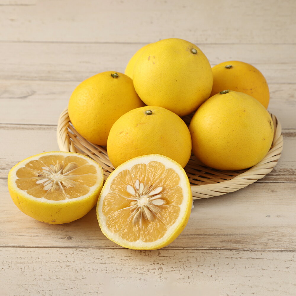 【ふるさと納税】R8年4月発送＜訳あり＞ 小夏 谷川果樹園の小夏5kg 日向夏 みかん 柑橘 フルーツ こなつ ニューサマーオレンジ 果物 美味しい ワケあり 訳 自宅用 ご家庭用 おやつ ふるさとのうぜい 故郷納税 返礼品 高知 土佐清水市 12000円【R00238】 サムネイル3