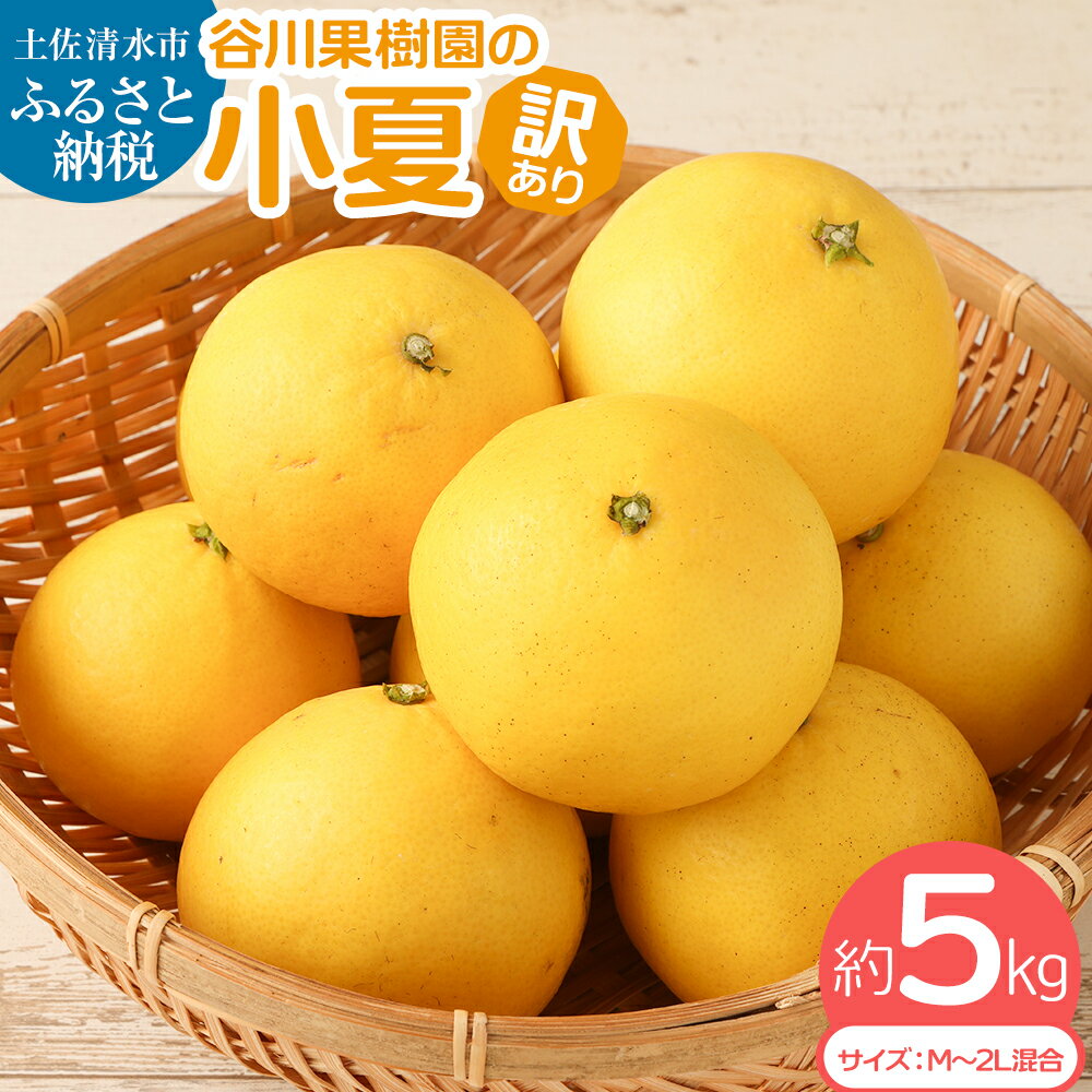 R8年4月発送＜訳あり＞ 小夏 谷川果樹園の小夏5kg 日向夏 みかん 柑橘 フルーツ こなつ ニューサマーオレンジ 果物 美味しい ワケあり 訳 自宅用 ご家庭用 おやつ ふるさとのうぜい 故郷納税 返礼品 高知 土佐清水市 12000円【R00238】