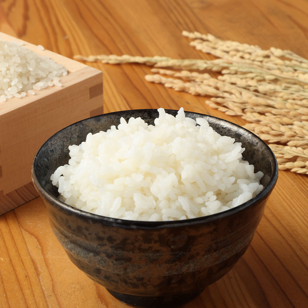 【ふるさと納税】令和7年産 コシヒカリ 精米 選べる内容量 お届け回数 白米 お米 ご飯 ごはん 米 kome こめ こしひかり 高知県産 5kg 10kg 15kg 20kg ふるさと納税 高知 米 美味しい おいしい 定期便 3ヶ月 5ヶ月 故郷納税 高知 土佐清水市【R01408】 - 画像2