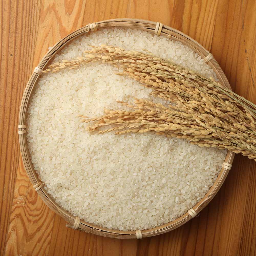 【ふるさと納税】令和7年産 コシヒカリ 精米 選べる内容量 お届け回数 白米 お米 ご飯 ごはん 米 kome こめ こしひかり 高知県産 5kg 10kg 15kg 20kg ふるさと納税 高知 米 美味しい おいしい 定期便 3ヶ月 5ヶ月 故郷納税 高知 土佐清水市【R01408】 - 画像3