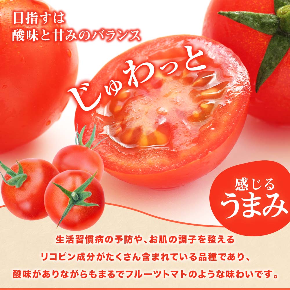 【ふるさと納税】【令和7年11月発送】 ミニトマト フルーツトマト トマト 国産 中玉 サイズ 選べる 1kg 2kg 3kg 4kg プチトマト ミディトマト フルティカ フルティカトマト 新鮮 野菜 夏野菜 産地直送 高知 トマトジュース 5000円ちょうど 8000円 12000円 15000円【R01031】 サムネイル3