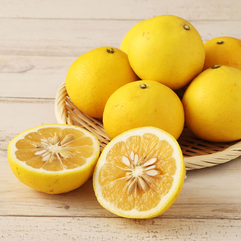 【ふるさと納税】令和8年4月発送 2026年発送 予約 訳あり 小夏 谷川果樹園の小夏3kg 日向夏 みかん 柑橘 フルーツ こなつ ニューサマーオレンジ 果物 美味しい ワケあり 訳 自宅用 ご家庭用 おやつ ふるさとのうぜい 故郷納税 返礼品 高知 土佐清水市 7000円【R01146】 サムネイル3