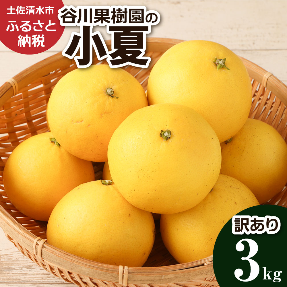 令和8年4月発送 2026年発送 予約 訳あり 小夏 谷川果樹園の小夏3kg 日向夏 みかん 柑橘 フルーツ こなつ ニューサマーオレンジ 果物 美味しい ワケあり 訳 自宅用 ご家庭用 おやつ ふるさとのうぜい 故郷納税 返礼品 高知 土佐清水市 7000円【R01146】