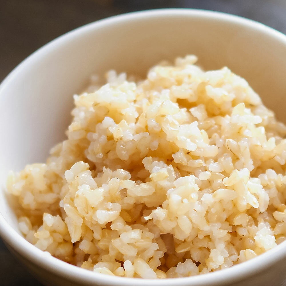 【ふるさと納税】【令和8年産】新米　玄米 5kgコシヒカリ お米 おこめ 米 こめ ごはん 飯 こしひかり ブランド米 おいしい 国産 土佐清水産 送料無料 高知県 土佐清水市 故郷納税 返礼品 高知【R01597】 - 画像2