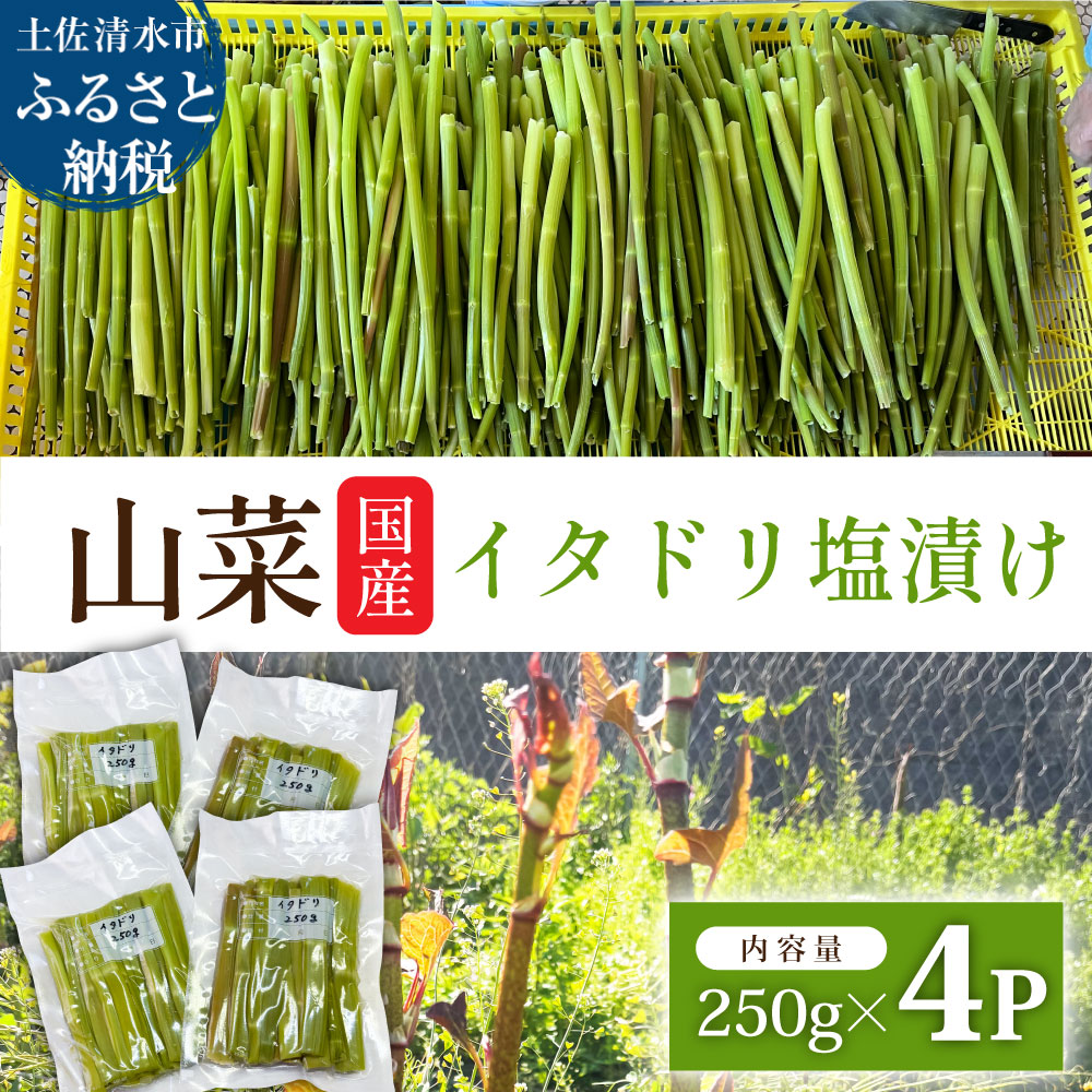 【令和8年5月以降】イタドリの塩漬け 250g×4パック 1kg 1キロ 山菜 いたどり 下処理済み 野菜 春の食材 虎杖 スカンポ イタズリ 炒め物 食品 お取り寄せ 真空 冷凍 配送 高知県 土佐清水市 故郷納税 返礼品 高知 送料無料【R01449】