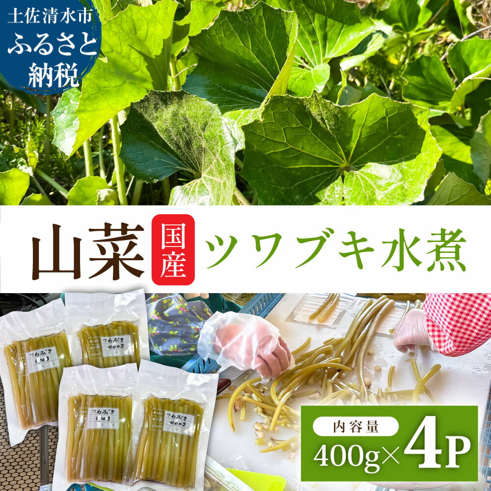 ＜令和8年5月以降＞ツワブキ 水煮 400g×4パック 1.6kg 1.6キロ 山菜 下処理済み 野菜 春の食材 煮物 佃煮 料理 石蕗 食品 お取り寄せ 真空 冷凍 配送 高知県 土佐清水市 故郷納税 返礼品 高知 送料無料【R01450】