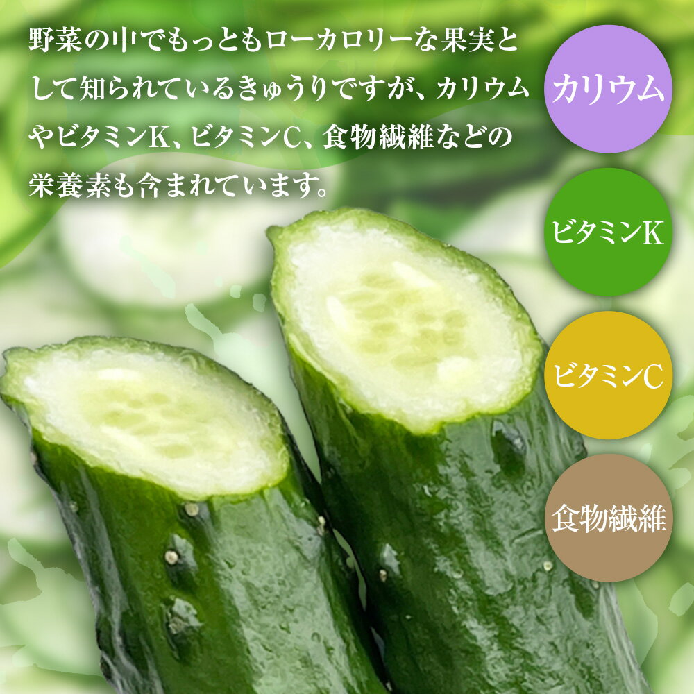 【ふるさと納税】きゅうり 選べる内容量 2kg 5kg 2キロ 5キロ キュウリ 野菜 新鮮 夏野菜 産地直送 サラダ 漬物 浅漬け ぬか漬け 酢の物 炒め物 健康 高知県 土佐清水市 故郷納税 返礼品 高知 送料無料 6000円 6000円以下 10000円 1万円 以下【R01451】 - 画像2