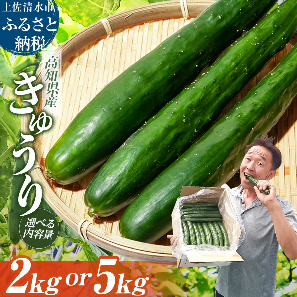 きゅうり 選べる内容量 2kg 5kg 2キロ 5キロ キュウリ 野菜 新鮮 夏野菜 産地直送 サラダ 漬物 浅漬け ぬか漬け 酢の物 炒め物 健康 高知県 土佐清水市 故郷納税 返礼品 高知 送料無料 6000円 6000円以下 10000円 1万円 以下【R01451】
