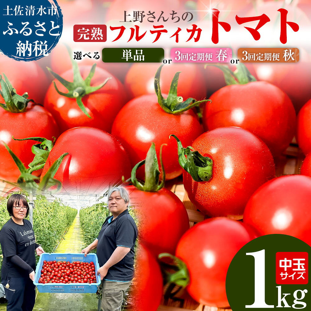 完熟フルティカトマト1kg 選べるお届け回数 定期便 中玉サイズ 甘熟ミディトマト フルーツトマト 野菜 1000g 1キロ 産地直送 天然地下水使用 美味しい 国産 送料無料 高知県 土佐清水市 故郷納税 返礼品 高知 7000円【R00130】