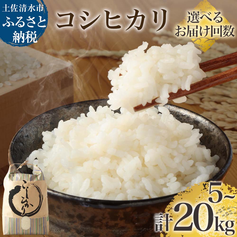 令和7年産 コシヒカリ 精米 選べる内容量 お届け回数 白米 お米 ご飯 ごはん 米 kome こめ こしひかり 高知県産 5kg 10kg 15kg 20kg ふるさと納税 高知 米 美味しい おいしい 定期便 3ヶ月 5ヶ月 故郷納税 高知 土佐清水市【R01408】