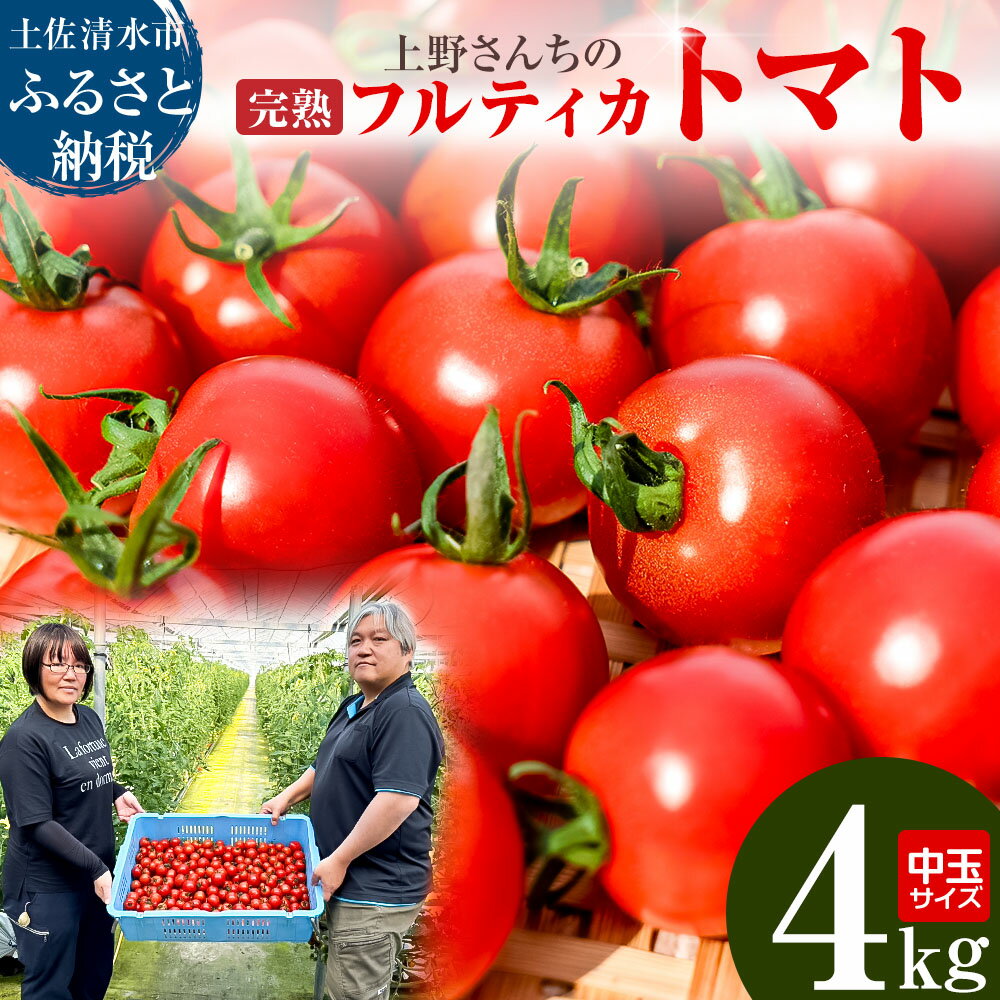 完熟フルティカトマト4kg（中玉サイズ）天然地下水使用 完熟ミディトマト 4000g 4キロ 産地直送 美味しい ギフト 国産 送料無料 高知県 土佐清水市 故郷納税 返礼品 高知 【R00559】
