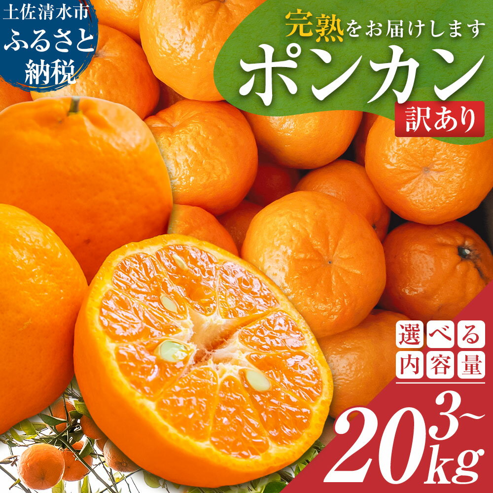 令和9年発送 2027年発送 予約 訳あり ポンカン 国産 3kg 5kg 10kg 20kg ぽんかん みかん ミカン 果物 果実 柑橘 柑橘類 フルーツ でこぽん おやつ デザート 甘い 美味しい おいしい 食感 露地栽培 傷 規格外 家庭用 名物 高知県 5000円〜【R01080】