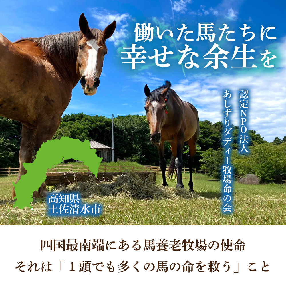 【ふるさと納税】引退馬 余生支援 選べる寄附額 返礼品なし 養老馬 競走馬 引退競走馬 馬支援 競馬 馬 うま ウマ 馬支援 動物 あしずりダディー牧場 故郷納税 高知県 土佐清水市 ふるさとのうぜい【R01528】 - 画像2