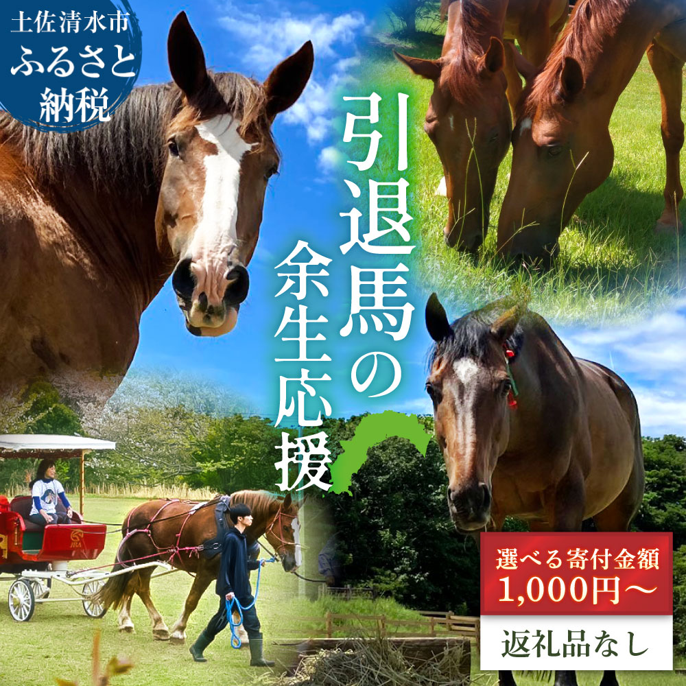 引退馬 余生支援 選べる寄附額 返礼品なし 養老馬 競走馬 引退競走馬 馬支援 競馬 馬 うま ウマ 馬支援 動物 あしずりダディー牧場 故郷納税 高知県 土佐清水市 ふるさとのうぜい【R01528】