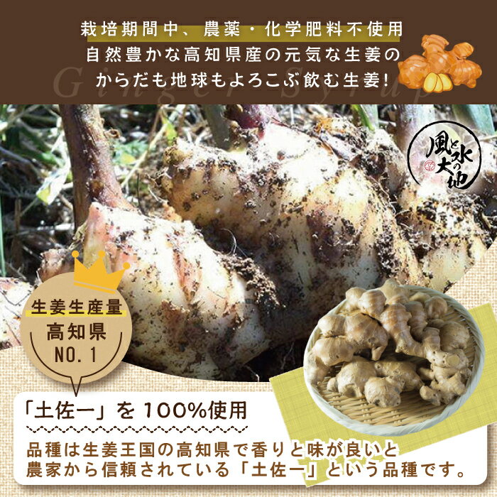 【ふるさと納税】R5-707．すりおろし生姜の辛口ジンジャーシロップ3本セット サムネイル2