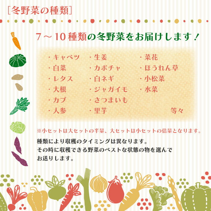 【ふるさと納税】【選べる容量】2回定期便 アグリユウベの冬野菜セット 小 大 早期受付 数量限定 とれたて 新鮮 農家直送 国産 野菜セット 詰め合わせ 野菜便 やさい 野菜 冬野菜 旬 高知県 四万十市 四万十 しまんと 送料無料【配送月：2027年1月・2月】 - 画像2