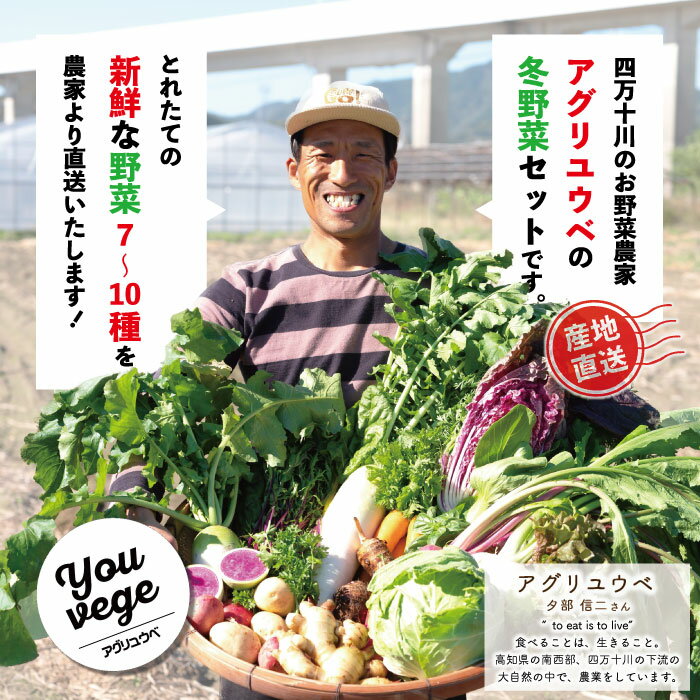 【ふるさと納税】【選べる容量】2回定期便 アグリユウベの冬野菜セット 小 大 早期受付 数量限定 とれたて 新鮮 農家直送 国産 野菜セット 詰め合わせ 野菜便 やさい 野菜 冬野菜 旬 高知県 四万十市 四万十 しまんと 送料無料【配送月：2027年1月・2月】 - 画像3