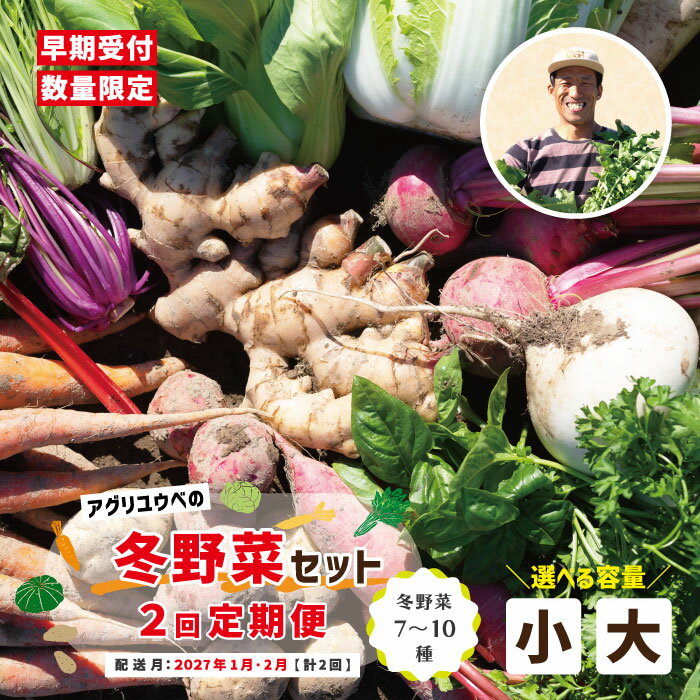 【選べる容量】2回定期便 アグリユウベの冬野菜セット 小 大 早期受付 数量限定 とれたて 新鮮 農家直送 国産 野菜セット 詰め合わせ 野菜便 やさい 野菜 冬野菜 旬 高知県 四万十市 四万十 しまんと 送料無料【配送月：2027年1月・2月】