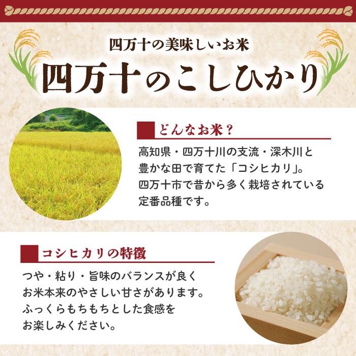 【ふるさと納税】 米 5kg 10kg 【 令和7年産 】 四万十 の こしひかり 国産 1等米 予約 コシヒカリ 精米 お米 白米 ごはん ご飯 おいしい ふっくら もちもち 高知県 高知 四万十市 しまんと 土佐 送料無料 - 画像2