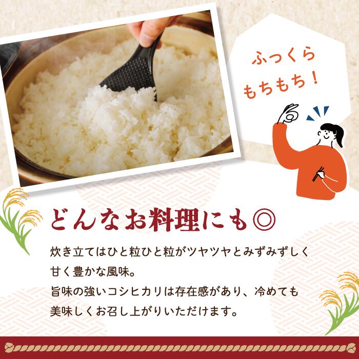 【ふるさと納税】 米 5kg 10kg 【 令和7年産 】 四万十 の こしひかり 国産 1等米 予約 コシヒカリ 精米 お米 白米 ごはん ご飯 おいしい ふっくら もちもち 高知県 高知 四万十市 しまんと 土佐 送料無料 - 画像3