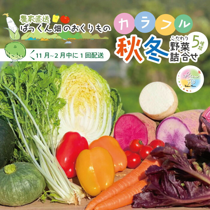 早期受付 とれたて 新鮮 ！ぱっくん畑のおくりもの 農家直送 秋・冬 野菜セット 約5種類 国産 野菜 やさい ベジタブル 高知県 高知 しまんと 四万十市 野菜便 詰め合わせ 限定 お取り寄せ 秋野菜 冬野菜 【2026年11月～2027年2月の間に1回配送】26-054