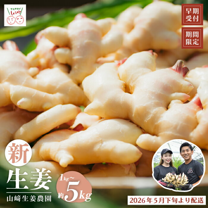 早期受付 期間限定 みずみずしさがたまらない 新生姜 1kg 2kg 3kg 4kg 5kg【2026年5月下旬～9月上旬配送】高知県 高知 四万十市 四万十 しまんと 農作物 特産 しょうが 生姜 ショウガ 野菜 旬 新鮮 国産 先行 予約 ジンジャー お取り寄せ 送料無料