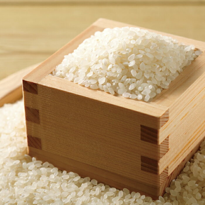 【ふるさと納税】【令和7年産 数量限定】 四万十 の 米どころ 山間地域で育てた 大宮米 コシヒカリ 10kg 高知県 高知 しまんと 国産 お米 米 白米 精米 こしひかり 低農薬栽培 ご飯 産地直送 送料無料 26-305 - 画像2