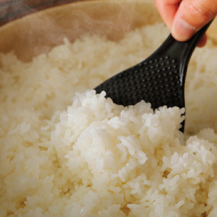 【ふるさと納税】【令和7年産 数量限定】 四万十 の 米どころ 山間地域で育てた 大宮米 コシヒカリ 10kg 高知県 高知 しまんと 国産 お米 米 白米 精米 こしひかり 低農薬栽培 ご飯 産地直送 送料無料 26-305 - 画像3