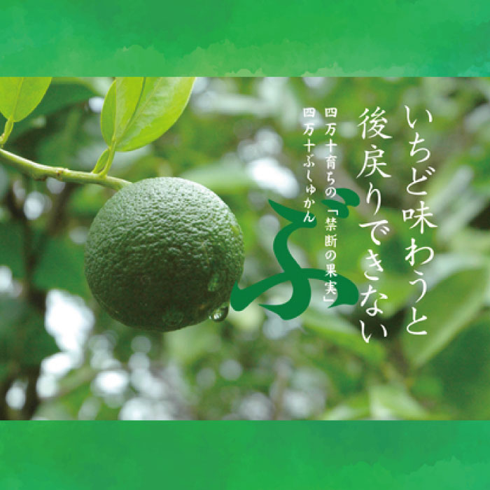 【ふるさと納税】 久保田食品 四万十 ぶしゅかん アイスキャンデー 20本 入り 冷菓 菓子 冷凍 冷凍便 アイス スイーツ おやつ おいしい フルーツ 柑橘 久保田アイス 人気 おすすめ グルメ ご当地 お取り寄せ ギフト 夏ギフト お中元 お歳暮 贈答 送料無料 のし対応 26-444 - 画像3
