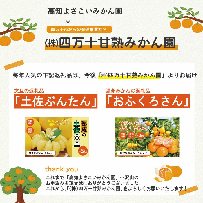 【ふるさと納税】【早期受付・数量限定】熟成の土佐文旦10kg 家庭用 予約 大人気 リピーター 限定 フルーツ 果物 旬 文旦 ぶんたん ブンタン 土佐文旦 柑橘 オススメ 四万十市 四万十 しまんと 高知 産地直送 農家直送 お取り寄せ 送料無料 【2026年2月下旬より発送】R7-552 サムネイル3