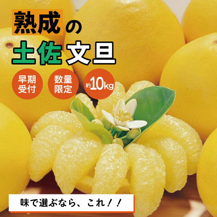【早期受付・数量限定】熟成の土佐文旦10kg 家庭用 予約 大人気 リピーター 限定 フルーツ 果物 旬 文旦 ぶんたん ブンタン 土佐文旦 柑橘 オススメ 四万十市 四万十 しまんと 高知 産地直送 農家直送 お取り寄せ 送料無料 【2026年2月下旬より発送】R7-552