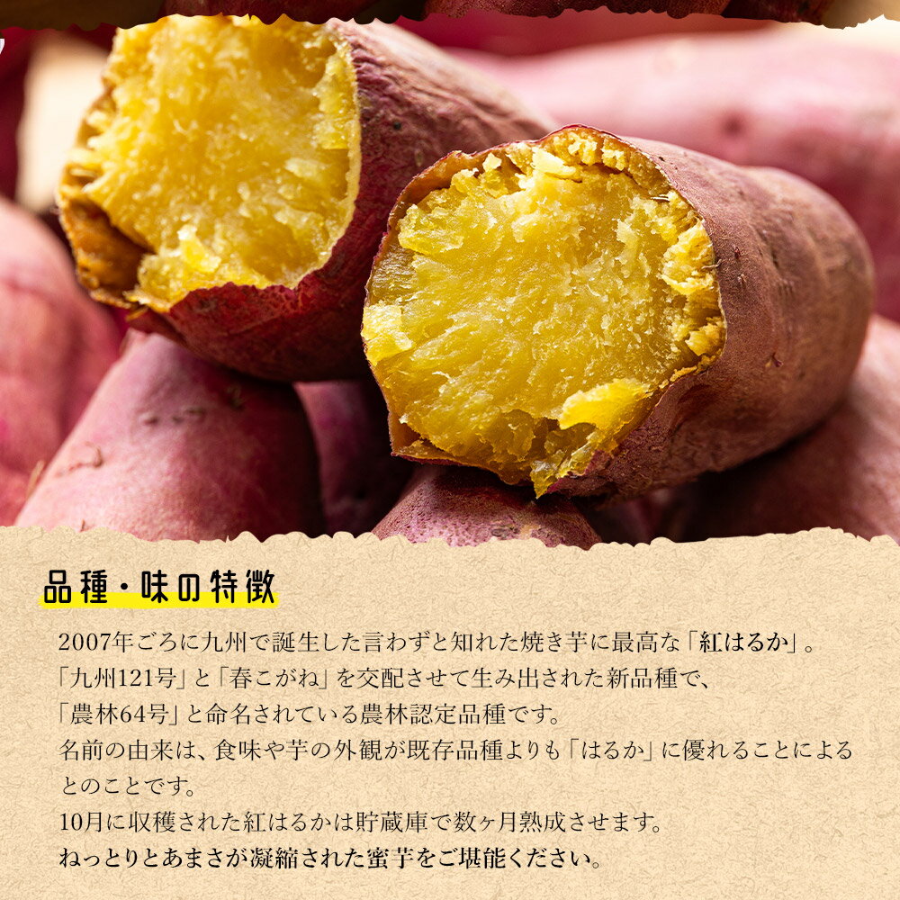【ふるさと納税】【選べる】さつまいも 紅はるか (サイズ：M/L)(内容量：2kg/5kg/10kg) - サツマイモ さつま芋 野菜 焼き芋 やきいも 焼いも 蒸し芋 おやつ スイーツ スイートポテト 国産 アスタ農園 高知県 香南市【常温】 - 画像3