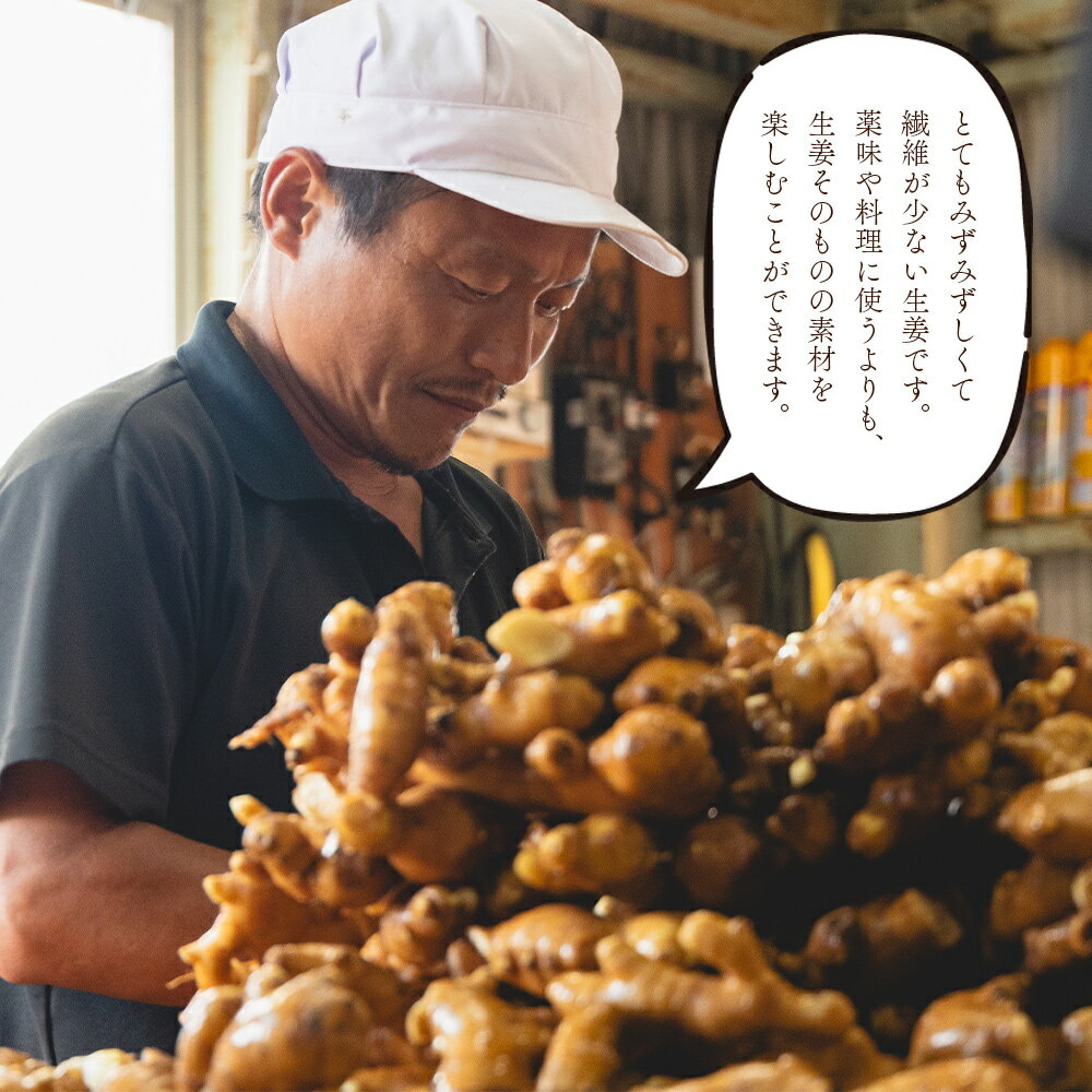 【ふるさと納税】香南市産 別役の生姜 (選べる：2kg／4kg／8kg／10kg／20kg) - しょうが ショウガ ジンジャー 薬味 調味料 国産 株式会社べっちゃく 高知県 香南市【常温】 - 画像3