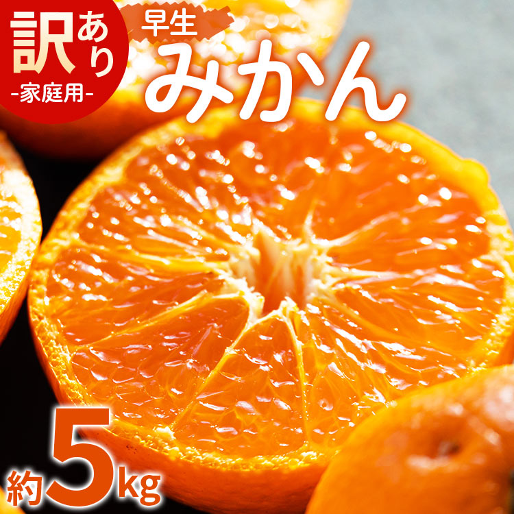 家庭用 訳あり 早生みかん（Lサイズ）約5kg - 送料無料 フルーツ 果物 果実 温州みかん ミカン 柑橘 甘い あまい おいしい ご自宅用 旬 季節限定 かなや農園 合同会社Benifare 国産 特産品 高知県 香南市【常温】