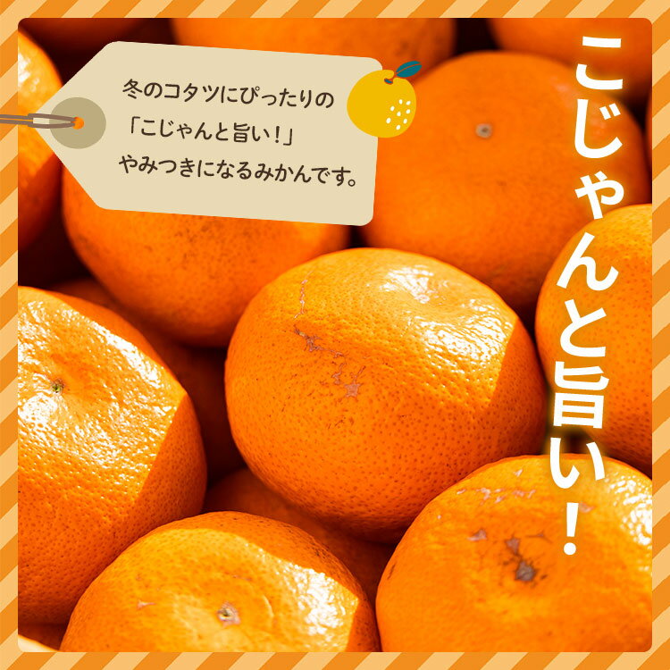 【ふるさと納税】家庭用 訳あり 早生みかん（Lサイズ）約5kg - 送料無料 フルーツ 果物 果実 温州みかん ミカン 柑橘 甘い あまい おいしい ご自宅用 旬 季節限定 かなや農園 合同会社Benifare 国産 特産品 高知県 香南市【常温】 サムネイル3