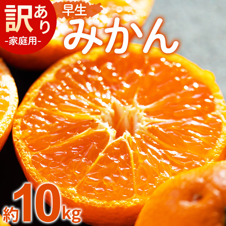 家庭用 訳あり 早生みかん（Lサイズ）約10kg - 送料無料 フルーツ くだもの 果物 わせ 訳アリ 温州みかん ミカン 柑橘 甘い おいしい ご自宅用 旬 季節限定 かなや農園 合同会社Benifare 国産 特産品 高知県 香南市【常温】