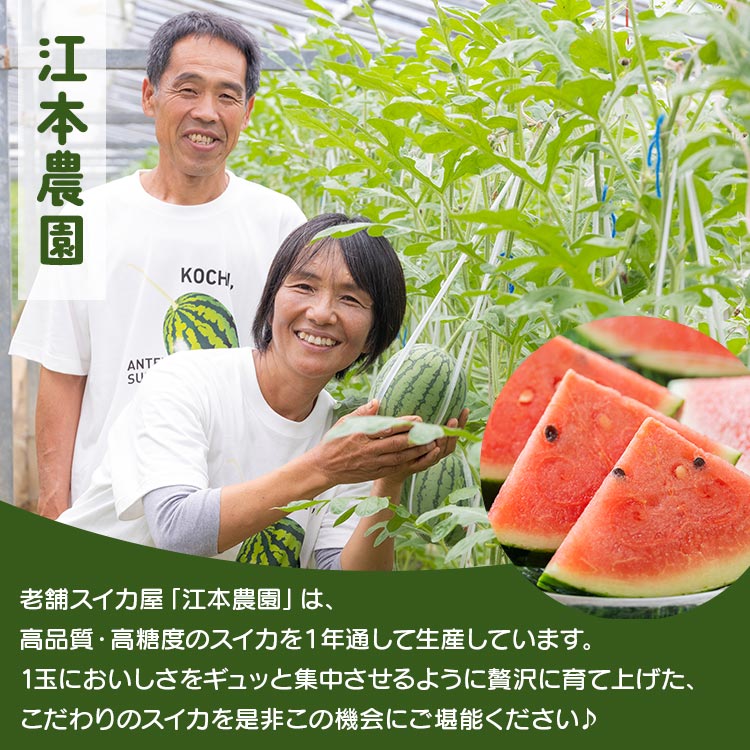 【ふるさと納税】期間限定！江本農園の12月冬アンテナスイカ 2玉 - 送料無料 果物 くだもの フルーツ すいか 西瓜 デザート クレジット限定 数量限定 季節限定 贈り物 高知県 香南市【常温】em-0020 サムネイル2