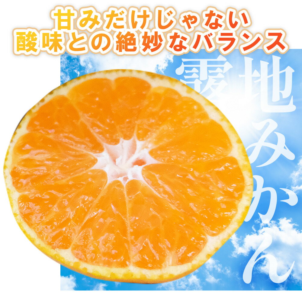 【ふるさと納税】【選べる内容量】ふじ農園の露地みかん 贈答用 (選べる内容量：2.5kg/5kg/10kg)(2S～M) - 国産 蜜柑 ミカン 柑橘 果物 フルーツ 贈答 プレゼント ギフト 贈り物 ふじ農園 高知県 香南市 【常温】 サムネイル3