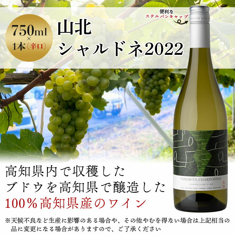 【ふるさと納税】高知県産ワイン tosa cavatina 山北シャルドネ2022 (750ml×1本) - 白 ワイン 辛口 お酒 さけ アルコール ボトル 瓶 おしゃれ プレゼント ギフト 贈り物 お祝い 御祝 内祝い 送料無料 高知県 香南市【冷蔵】 iw-0004 サムネイル2