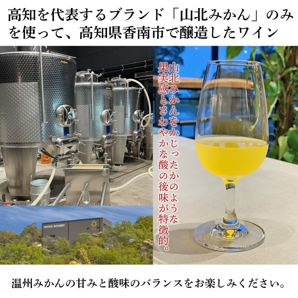 【ふるさと納税】山北みかんワイン 1本 750ml - 温州みかん 蜜柑 ミカン ワイン 甘口 お酒 さけ 食前酒 アルコール 度数8％ ボトル 瓶 ほろ酔い 女性におすすめ おしゃれ プレゼント ギフト 贈り物 お祝い 御祝 内祝い 井上ワイナリー 高知県 香南市【冷蔵】お歳暮 御歳暮 サムネイル3