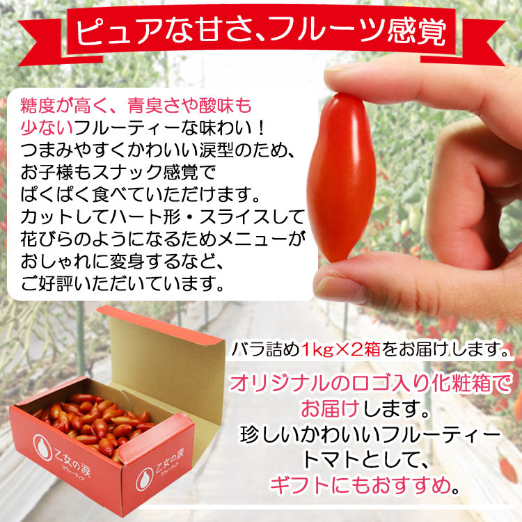 【ふるさと納税】【先行予約受付】乙女の涙 スウィーティア ミニトマト 約2kg（1kg×2箱）- 野菜 やさい とまと プチトマト フルーツトマト ギフト のし対応 高糖度 贈答用 贈り物 お礼 御礼 感謝 送料無料 井上石灰工業株式会社 高知県 香南市【常温/冷蔵】 - 画像2